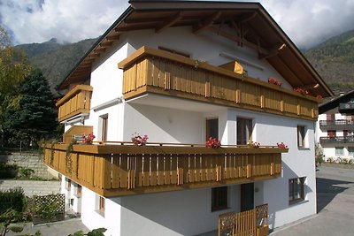 Fewo (Zweiraum) im Haus Götsch (1)