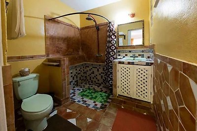 Hammerhead Trinidad Appartement 1