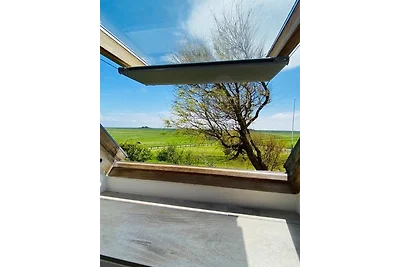 HaRE Ferienwohnung DREE