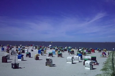 Casa de vacaciones Vacaciones de reposo Dornum