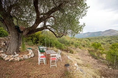 Casa vacanze Vacanza di relax Camerota