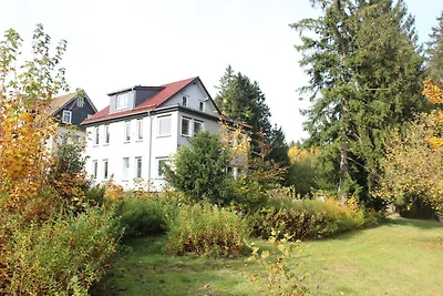 Holiday flat family holiday Goslar