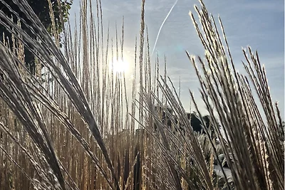 TOP: Apartmenthaus-Usedom Fam.Stopp