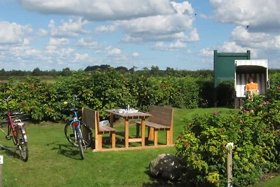 Vakantieappartement Gezinsvakantie Wrixum