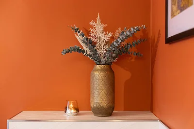 Vakantieappartement Gezinsvakantie Bad Bentheim