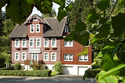 Harzhaus am Brunnen, Wohnung 4