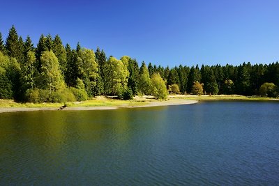 Vakantiehuis Ontspannende vakantie Melsungen