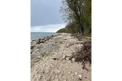 Vakantiehuis Ontspannende vakantie Grasten