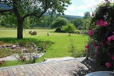 apartman za odmor Obiteljski odmor Allenbach