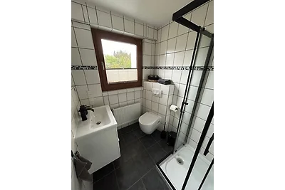 RheinSchatz Apartment 4