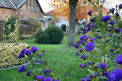 Vakantiehuis Ontspannende vakantie Freilingen (Blankenheim)