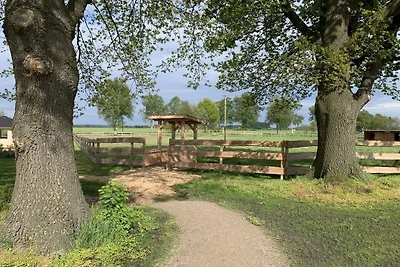 Accommodatie Vakantie op de boerderij Diepholz