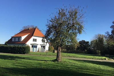 Vakantiehuis Ontspannende vakantie Bergen auf Rügen