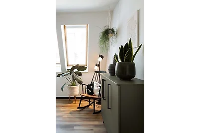 Fancy Apartment 01 - Urban Jungle