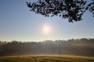 Ferienapartment Haus am Grün 3