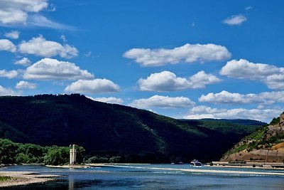 Vakantieappartement Gezinsvakantie Bingen am Rhein