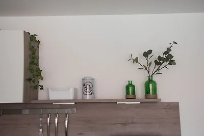 Apartment 12