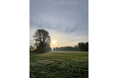 Accommodatie Vakantie op de boerderij Bleckede