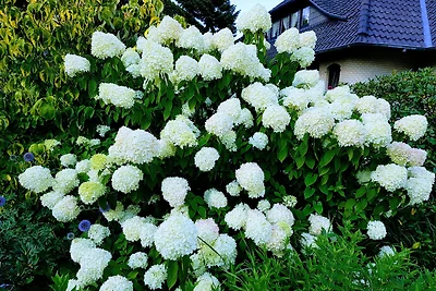 Appartement Schomaker-Fatmann