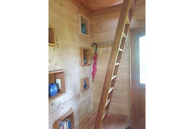 Sonniges, naturnahes Schwarzwald