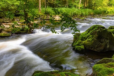 4 Sterne Ferienwohnung Rosengarten
