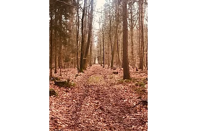 Schöne Auszeit (RE14)