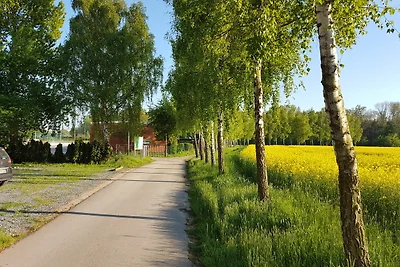 Majorcas 4 "Camp De Mar"