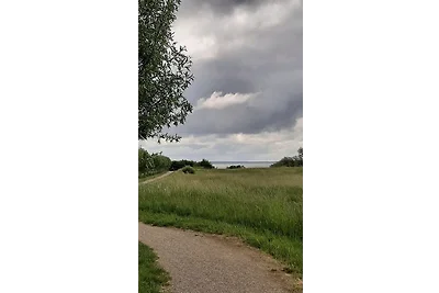 Vakantiehuis Ontspannende vakantie Klink