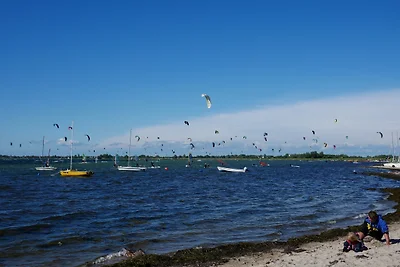 Holiday flat family holiday Burg auf Fehmarn