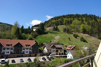 Vakantieappartement Gezinsvakantie Todtmoos