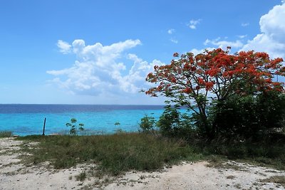 Appartement Vacances avec la famille Playa Larga