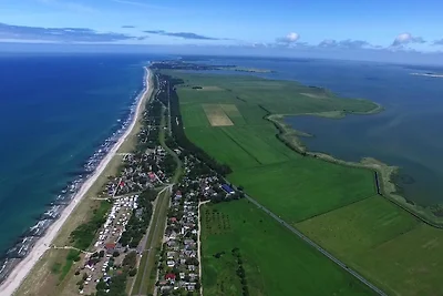 Kranich