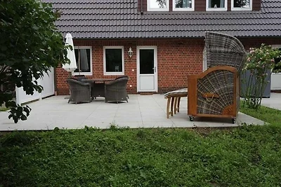 Seesterne