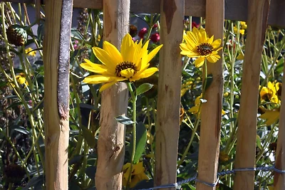 Adlerstraum -Auszeit am Haff