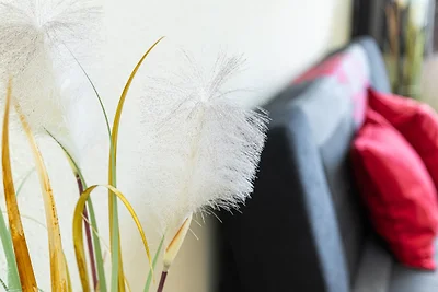 Probsteier Platz Meeresbrise