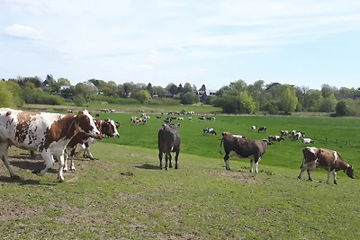 Ferienhof Gosch