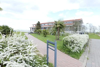 Ostseeperle No. 31 - Aurora Vista -