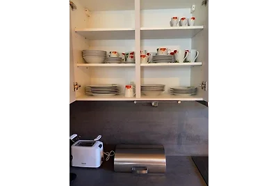 73 m2 „Sauvignon Blanc" DG