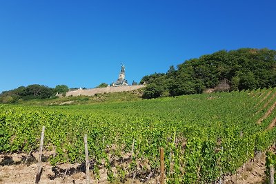 Appartamento Vacanza con famiglia Rüdesheim am Rhein