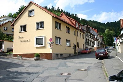 Vakantieappartement Gezinsvakantie Bad Lauterberg im Harz