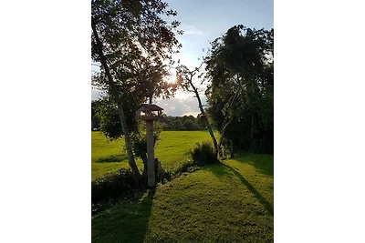 Seeblick- Noer