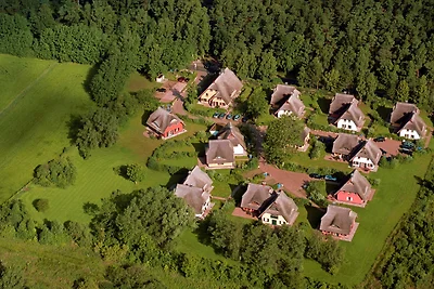 Reetgedecktes Ferienhaus