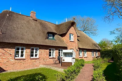 Vakantieappartement Gezinsvakantie Alkersum