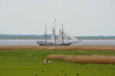 Auszeit am Elbdeich in Sankt