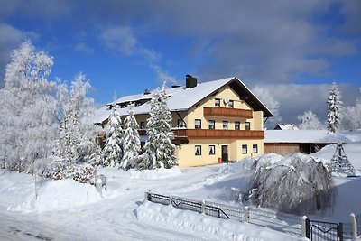 Vakantiehuis Ontspannende vakantie Haidmühle