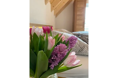 Ferienwohnung Apfelkrönchen