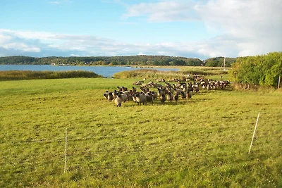 Villa Carina "Carina's 921"