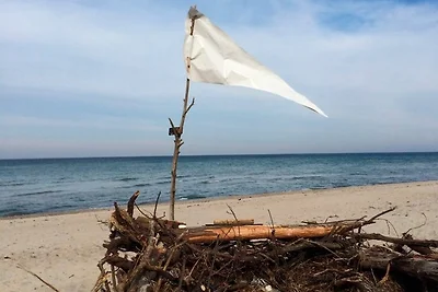 Vakantieappartement Gezinsvakantie Lohme