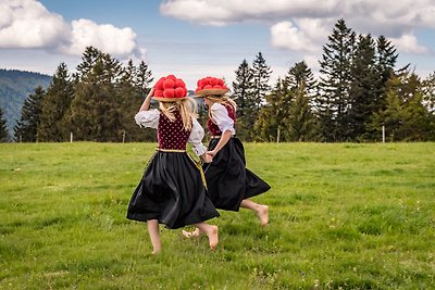 Vakantieappartement Gezinsvakantie Menzenschwand