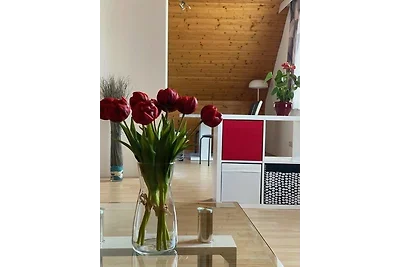 73 m2 „Sauvignon Blanc" DG